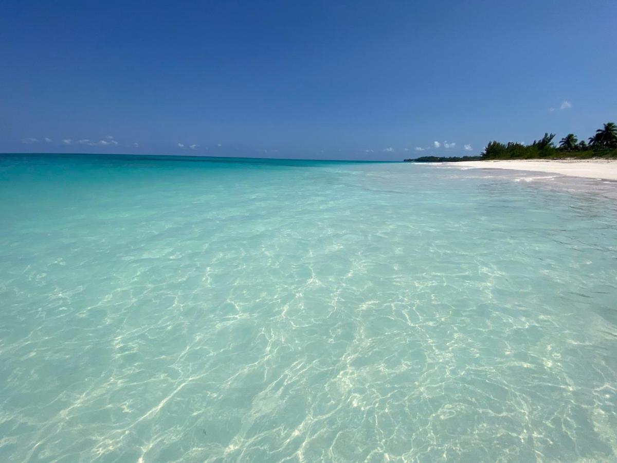 Eleuthera Retreat - Villa & Cottages On Pink Sand Beachfront Palmetto Point Exteriér fotografie