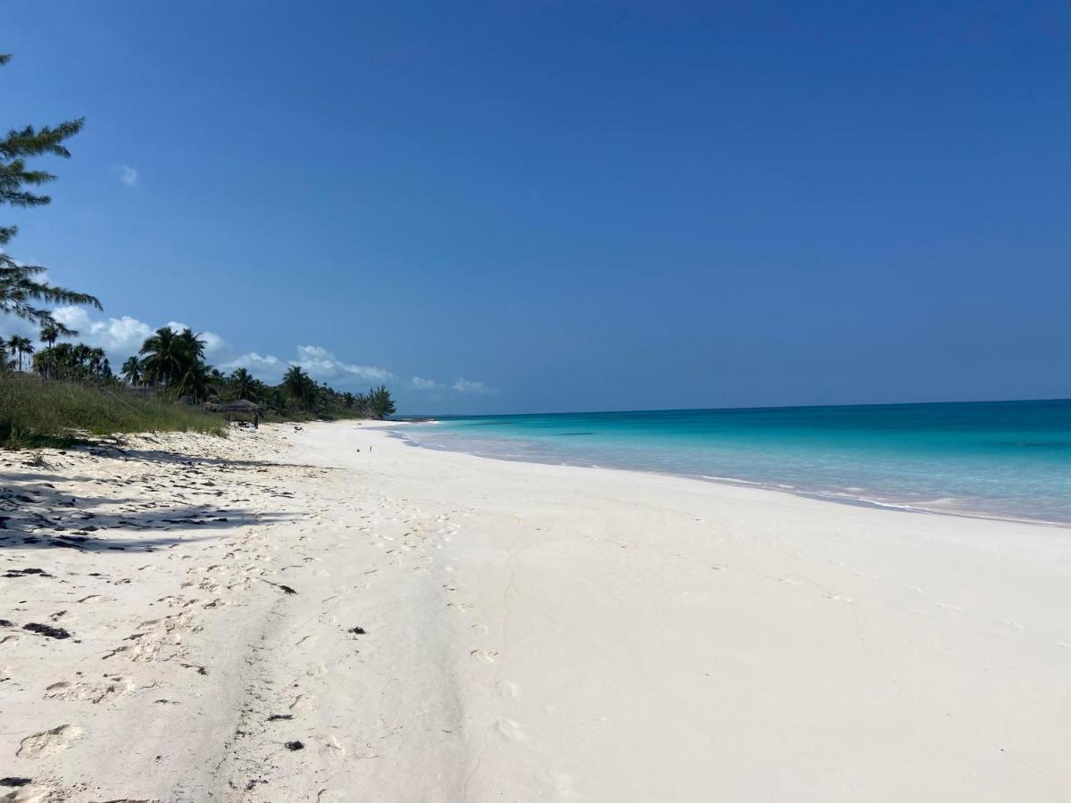 Eleuthera Retreat - Villa & Cottages On Pink Sand Beachfront Palmetto Point Exteriér fotografie