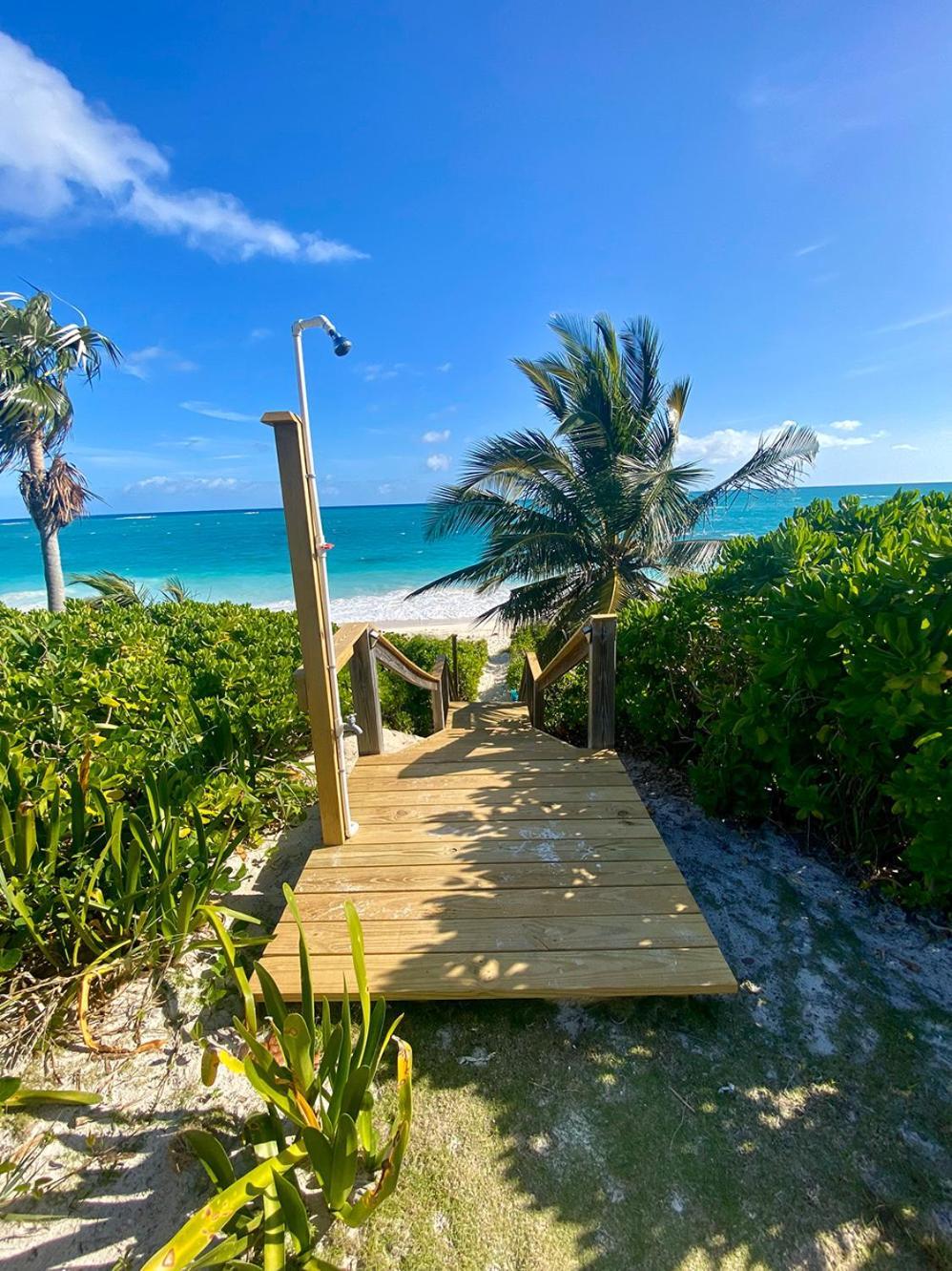 Eleuthera Retreat - Villa & Cottages On Pink Sand Beachfront Palmetto Point Exteriér fotografie